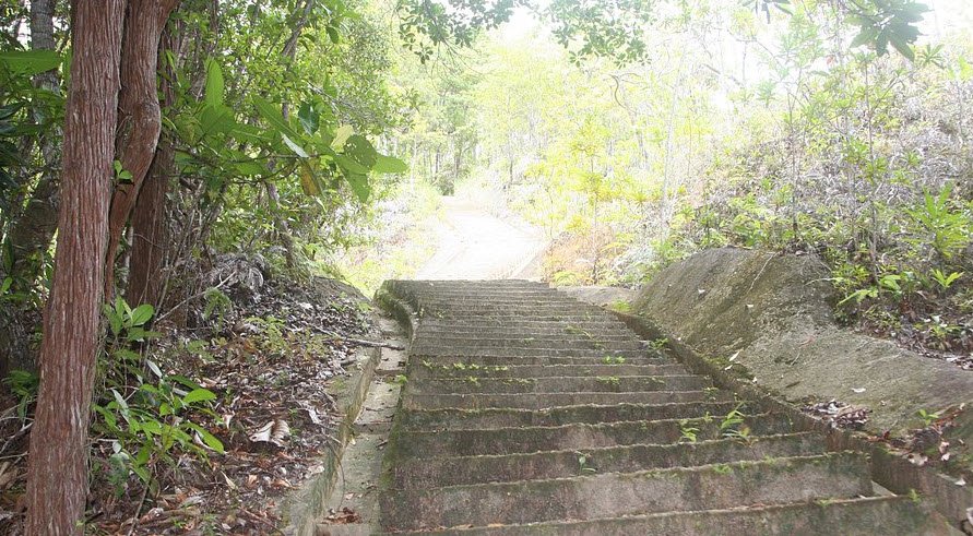 Bukit Shahbandar Forest Recreation Park, Brunei-Muara District, Brunei